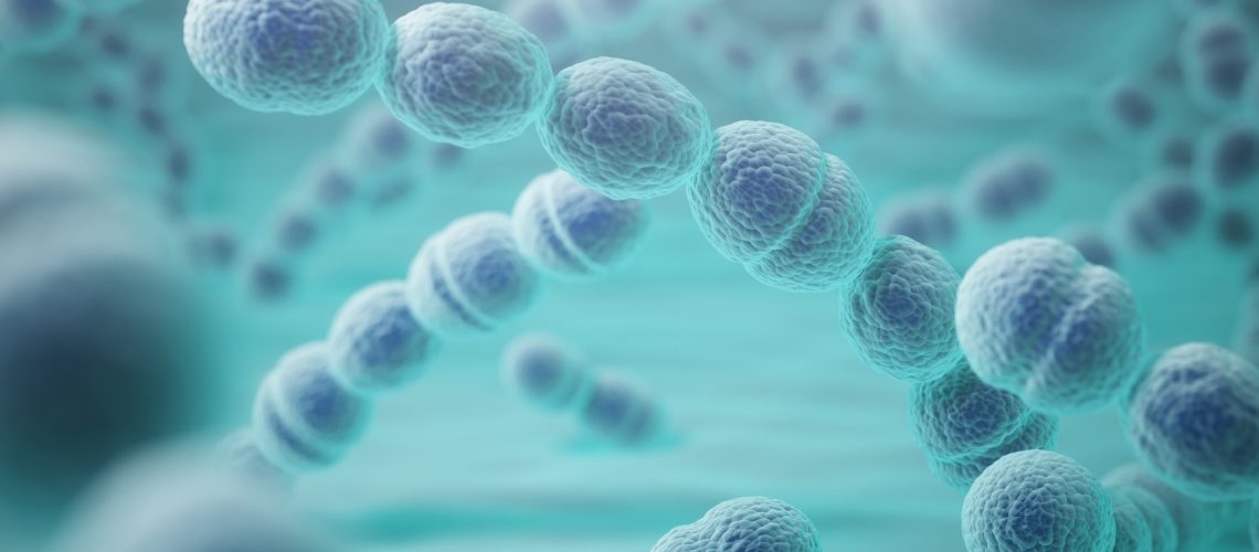 Streptococcus pneumoniae or pneumococcus bacterias. 3d illustration