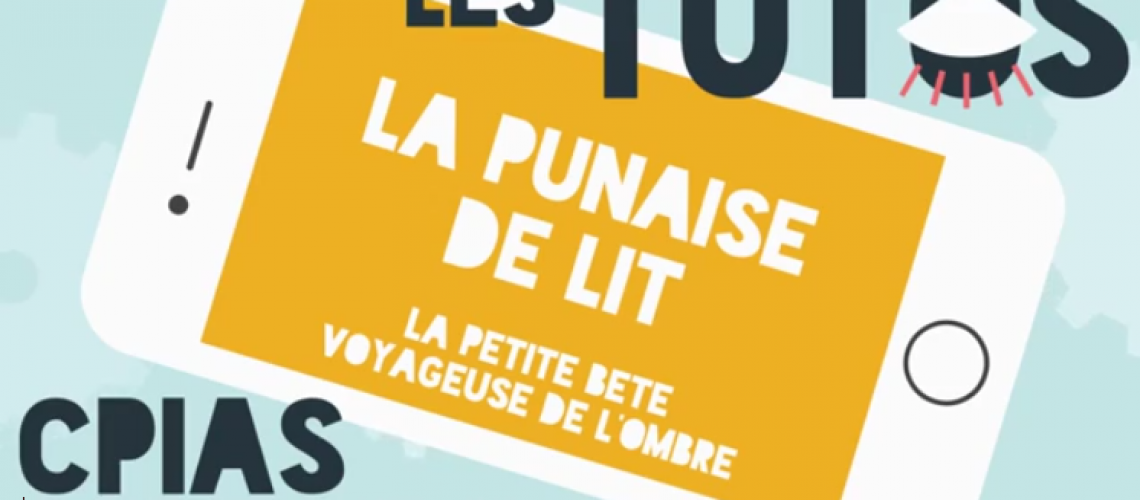 tuto punaise de lit